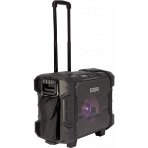 Водоустойчива тонколона с вградена батерия и Bluetooth 10″ IBIZA WPORT10-300 | AVStore