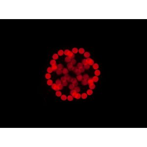 Focus Spot 5Z American DJ Moving Head 200W LED | AVStore