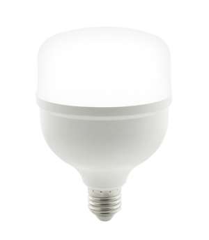 LED крушка 30W T100 6400K VITO E27 | AVStore