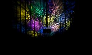 Мулти ефект Showtec Mad Moon | AVStore