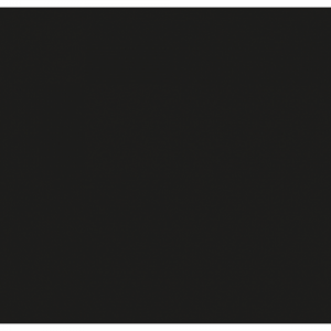 Конфети за машина Cannon Pro 80cm Showegear черни | AVStore