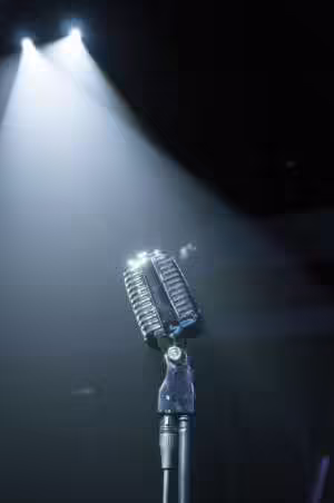 Динамичен винтидж микрофон от 1960-те (Елвис) DAP VM-60 | AVStore