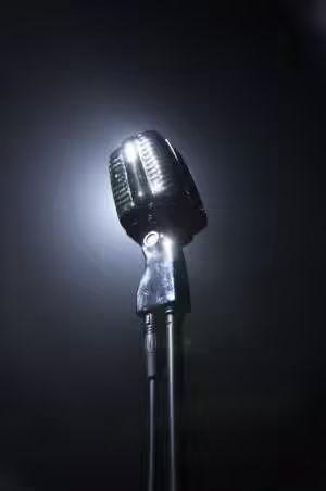 Динамичен винтидж микрофон от 1960-те (Елвис) DAP VM-60 | AVStore