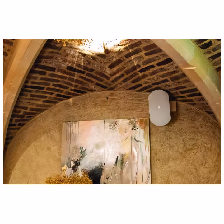 d3845_fx01_40 Пасивна стенна тонколона 80W професионална DAP WMS8-W бяла инсталационна | AVStore