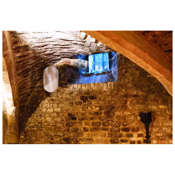 d3845_fx03_31 Пасивна стенна тонколона 80W професионална DAP WMS8-W бяла инсталационна | AVStore