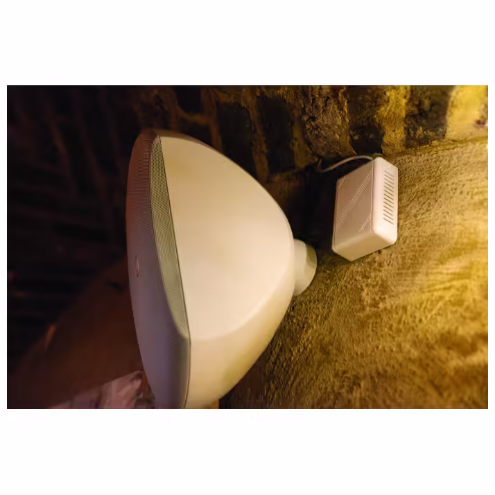 d3845_fx09_36 Пасивна стенна тонколона 80W професионална DAP WMS8-W бяла инсталационна | AVStore