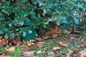 Пасивна 6″ градинска тонколона DAP GS-630 зелена | AVStore